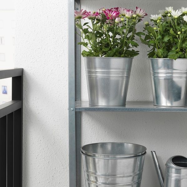 IKEA Горшечное растение, хризантемы разных цветов. CHRYSANTHEMUM, 305.930.81 30593081 фото