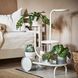 IKEA Подставка для цветов на колесах, белая. CHILISTR&Aring;N, 004.922.48 00492248 фото 3