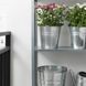 IKEA Горшечное растение, хризантемы разных цветов. CHRYSANTHEMUM, 305.930.81 30593081 фото 3