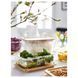 IKEA Контейнер для їжі з кришкою, прямокутний скло/бамбук IKEA 365+, 492.690.68 49269068 фото 3