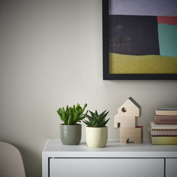IKEA Растение в горшке, суккулент разных цветов SUCCULENT, 105.986.83 10598683 фото