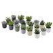 IKEA Растение в горшке, суккулент разных цветов SUCCULENT, 105.986.83 10598683 фото 1