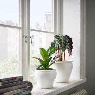 IKEA Кришка для квіткового горщика кімнатна/вулична/біла AMBRAR&Ouml;NN, 405.594.92 40559492 фото