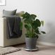 IKEA Крышка для цветочного горшка, темно-серая PERSILLADE, 903.467.66 90346766 фото 1