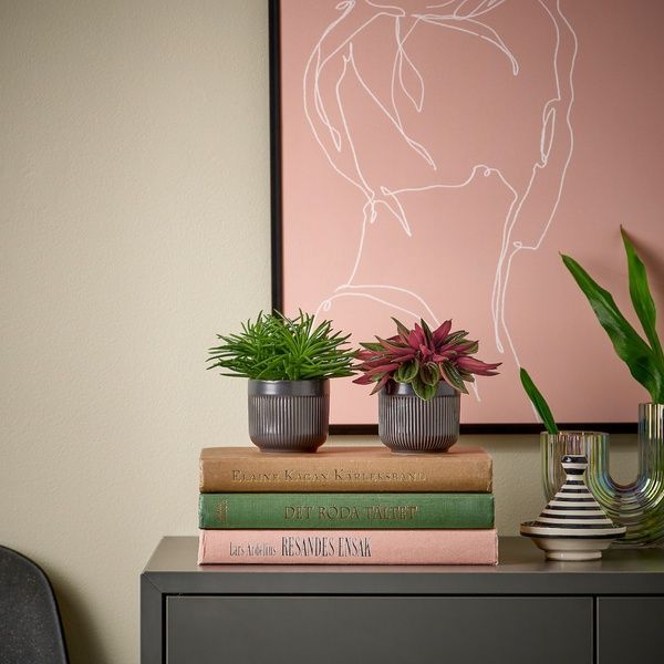IKEA Горшечное растение, разное HIMALAYAMIX, 905.748.95 90574895 фото