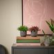 IKEA Горшечное растение, разное HIMALAYAMIX, 905.748.95 90574895 фото 4