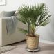 IKEA Кришка для вазона, бамбук ручної роботи KLYNNON, 205.164.08 20516408 фото 1