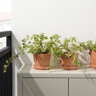 IKEA Квітковий горщик з підставкою, зовнішня теракота BRUNB&Auml;R, 105.108.26 10510826 фото