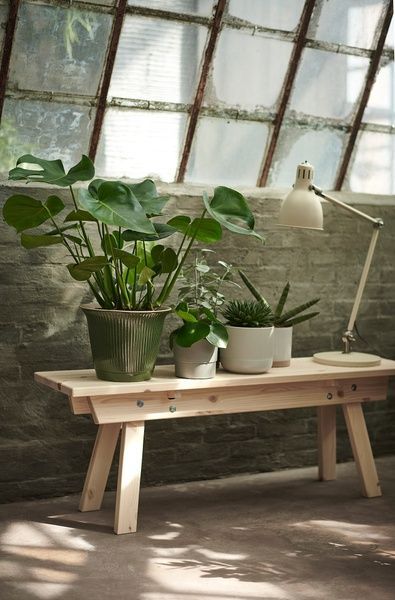 IKEA Горшечное растение, Пита Монстера MONSTERA, 303.494.90 30349490 фото