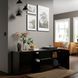 IKEA Дверцята/передня панель ящика, глянцевий чорний SELSVIKEN, 502.916.24 50291624 фото 4