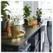 IKEA Поднос, цвет латуни GLATTIS, 703.501.13 70350113 фото 4