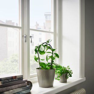 IKEA Кришка для квіткового горщика кімнатна/вулична/сіра CITRONMELISS, 305.741.91 30574191 фото